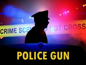 Police Gun – New Version 0.30 [Caciotta]